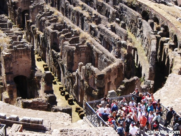 The Colisseum